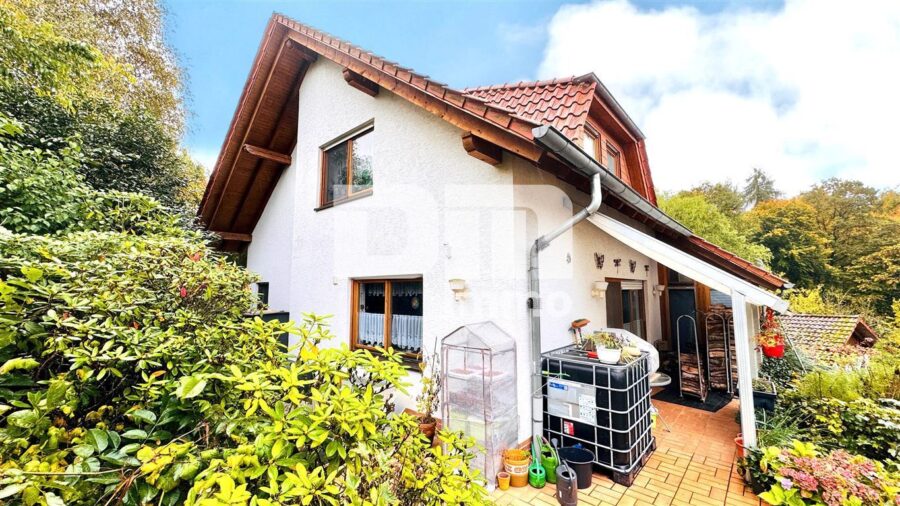 Einfamilienhaus mit Einliegerwohnung in Traumlage mit Terrasse, Naturgarten und Garage - Rückansicht